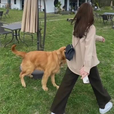 杜鹃的婚约